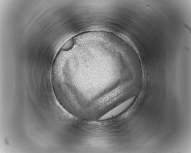 X0000102220855200808151703