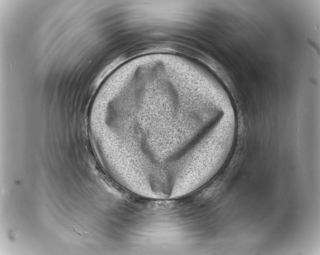 X0000102220858200808151704