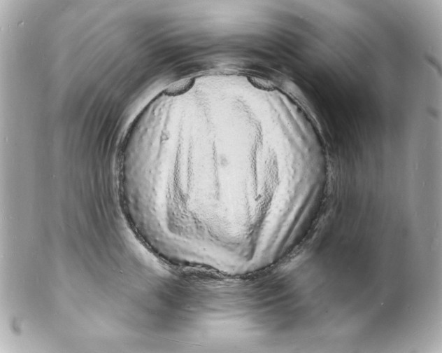 X0000102220859200808151704