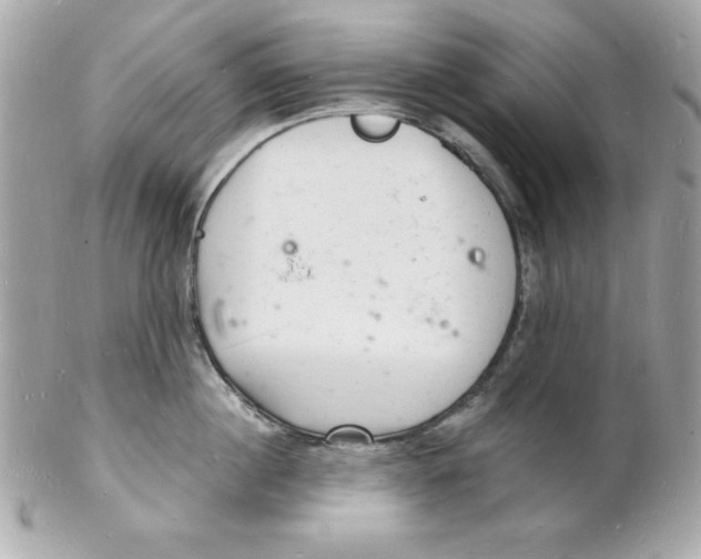 X0000102220860200808151704