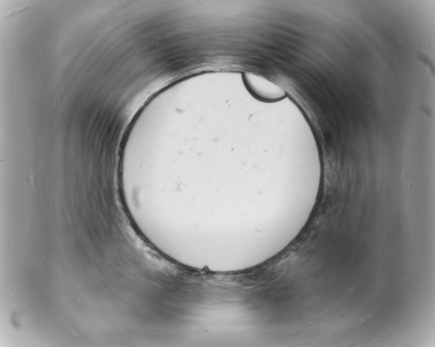 X0000102220861200808151704