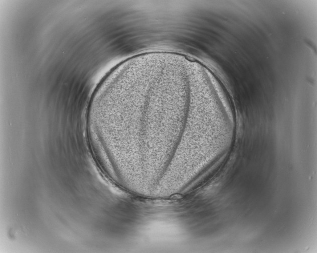 X0000102220862200808151704