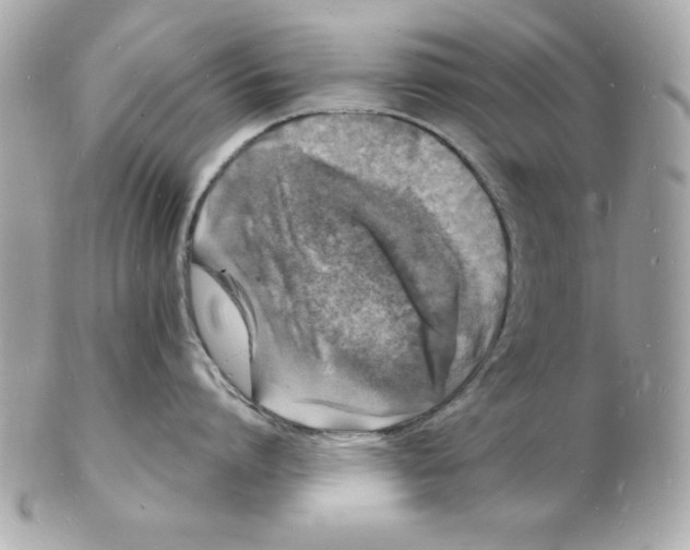 X0000102220864200808151704