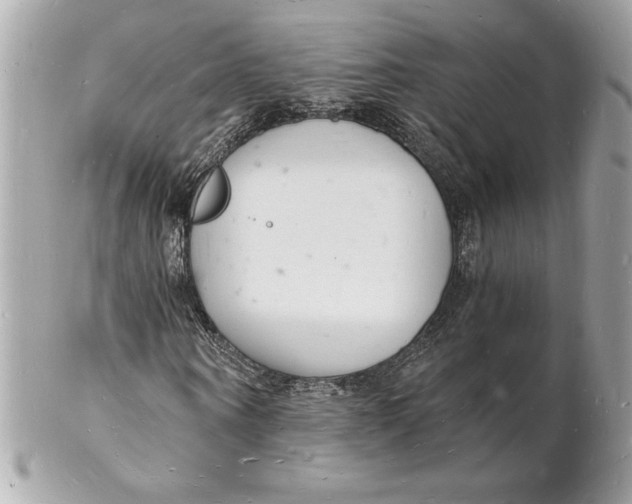 X0000102220866200808151703