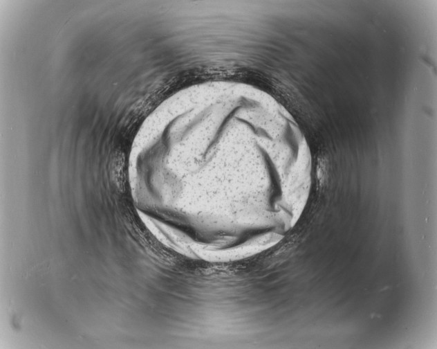 X0000102220867200808151703