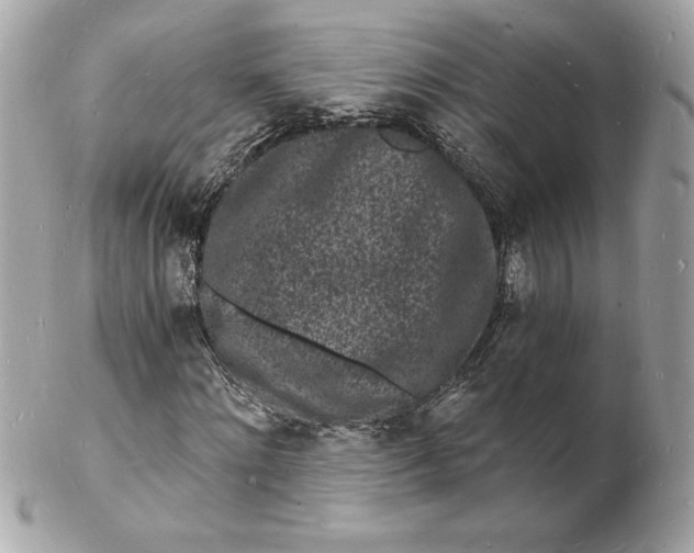 X0000102220868200808151703