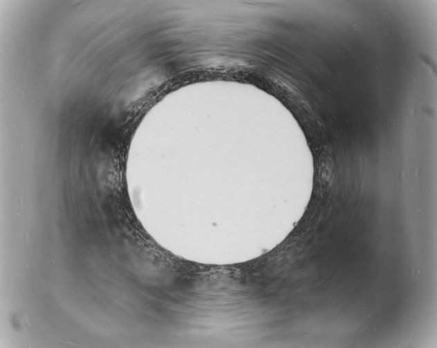 X0000102220869200808151703