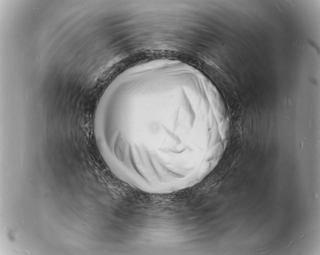 X0000102220870200808151703