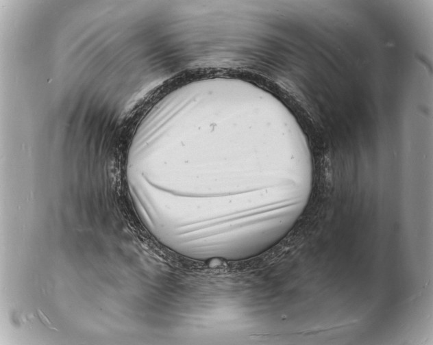 X0000102220872200808151703