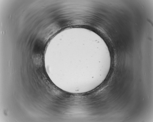 X0000102220873200808151703