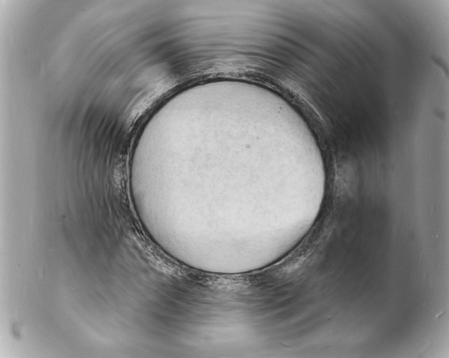 X0000102220874200808151703