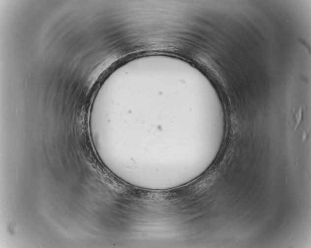 X0000102220875200808151703