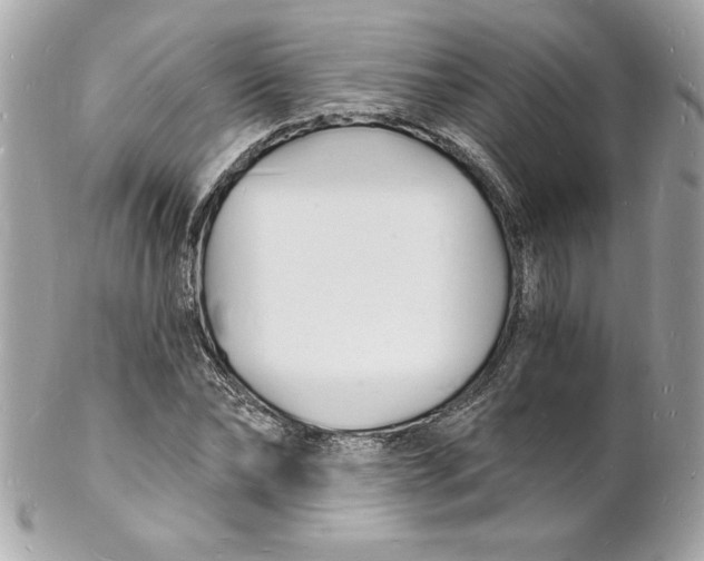 X0000102220878200808151703