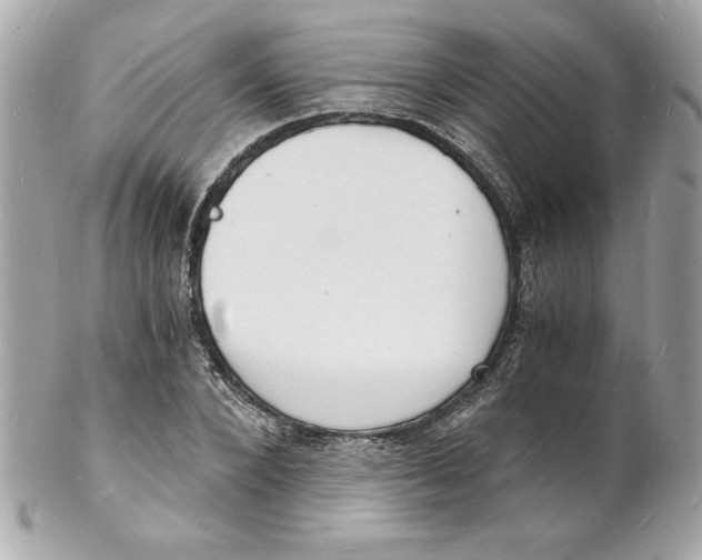 X0000102220880200808151703