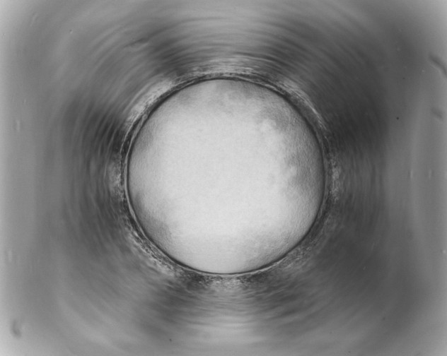 X0000102220882200808151703