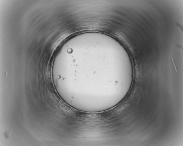 X0000102220883200808151703