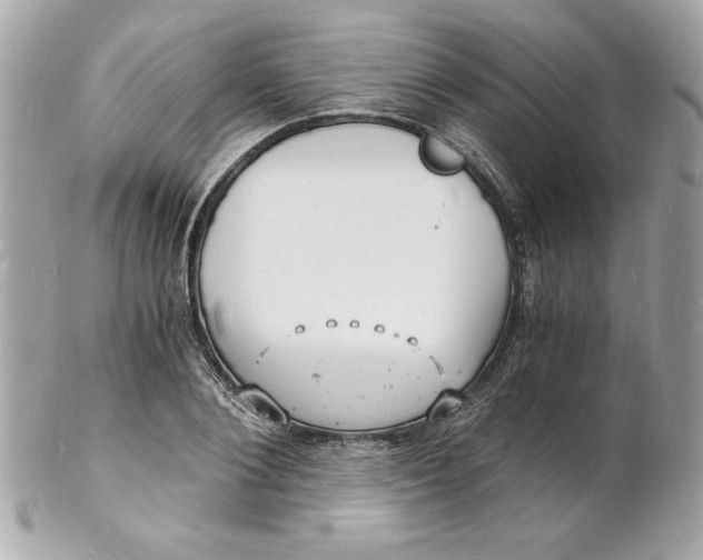 X0000102220884200808151703