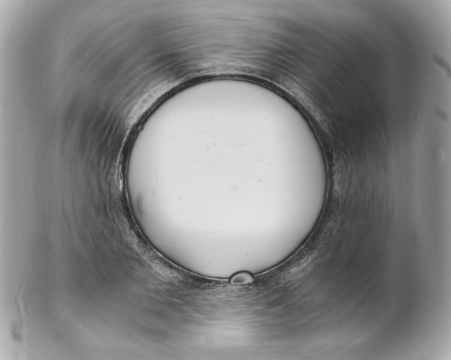 X0000102220885200808151703