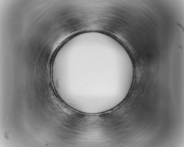 X0000102220886200808151703