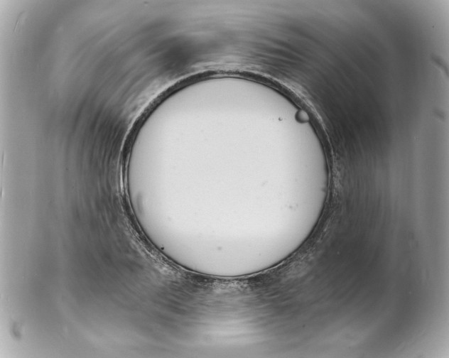 X0000102220887200808151703