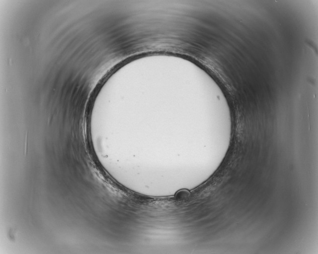 X0000102220888200808151703