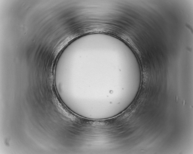 X0000102220890200808151703