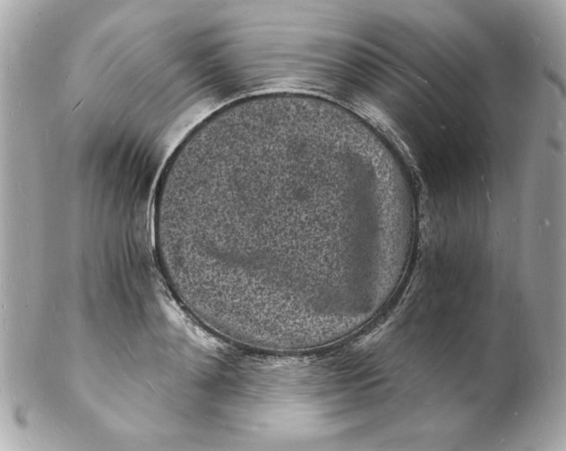 X0000102220892200808151702