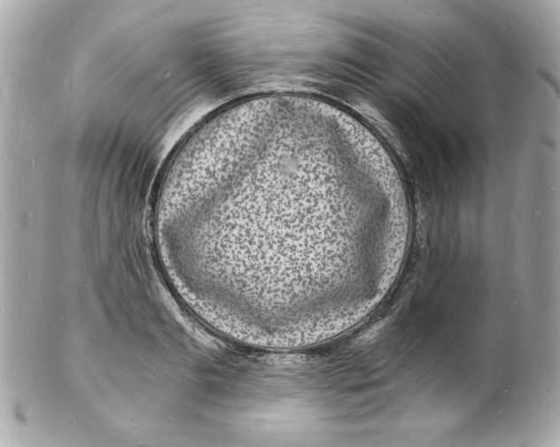 X0000102220893200808151702