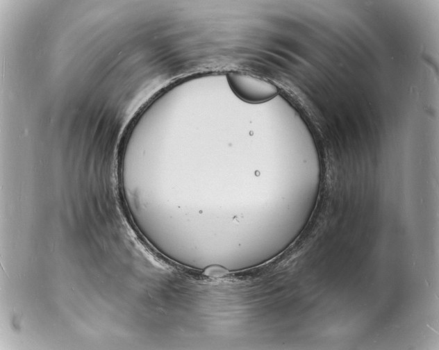 X0000102220894200808151702