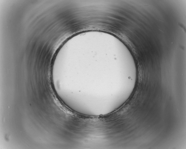 X0000102220896200808151702