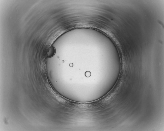 X0000102220897200808151702