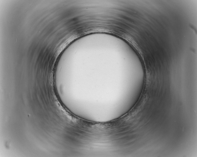 X0000102220898200808151702