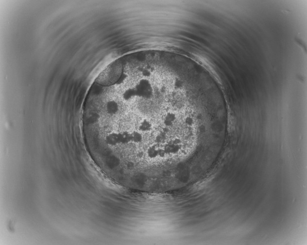 X0000102220899200808151702