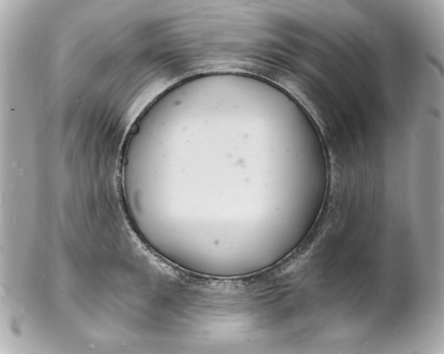 X0000102220901200808151702