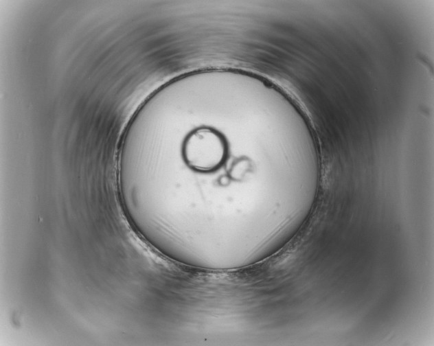 X0000102220903200808151702