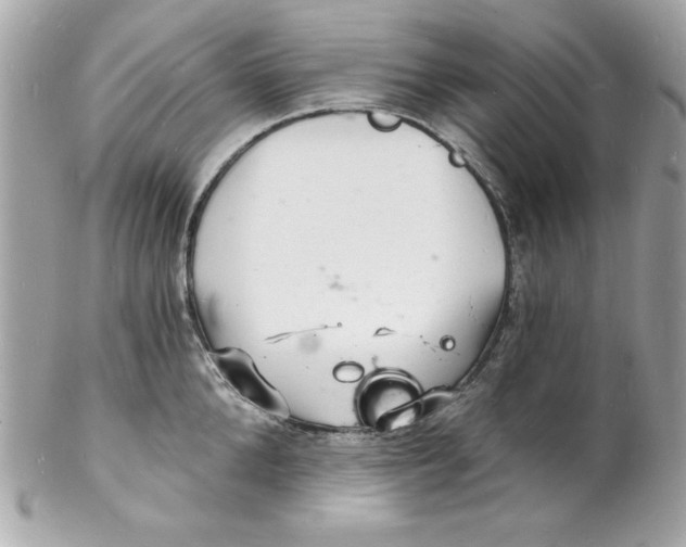 X0000102220904200808151702