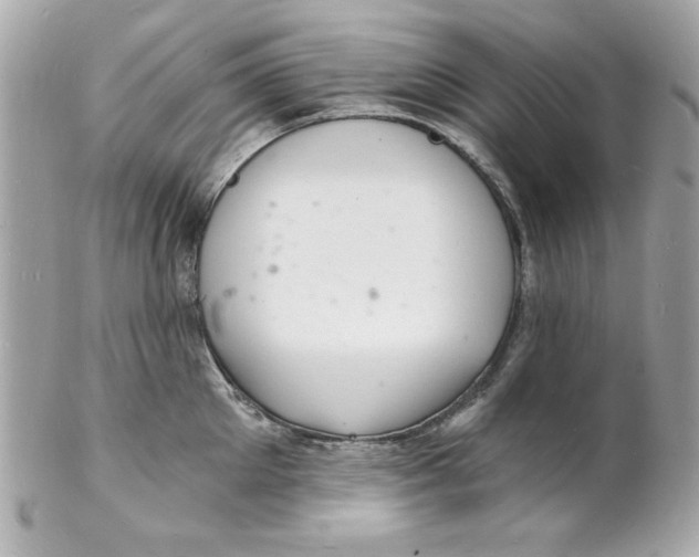 X0000102220905200808151702