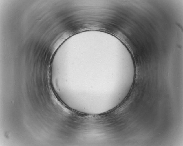 X0000102220906200808151702