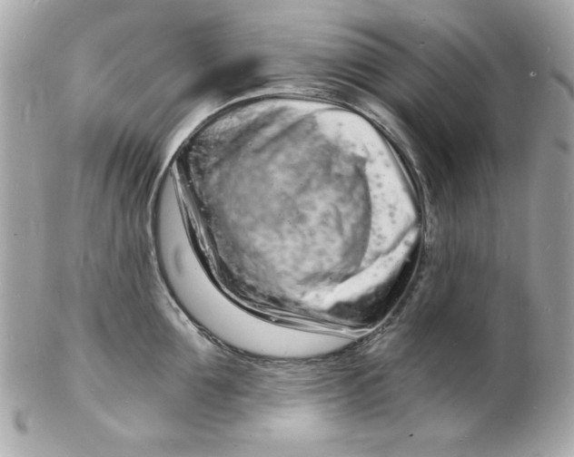 X0000102220907200808151702