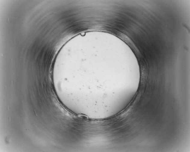 X0000102220908200808151702