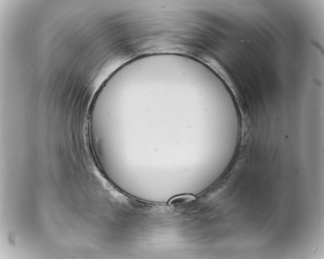 X0000102220909200808151702