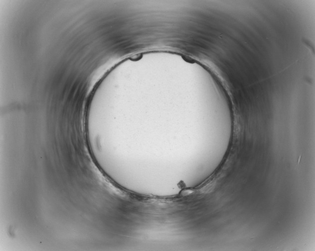 X0000102220910200808151702