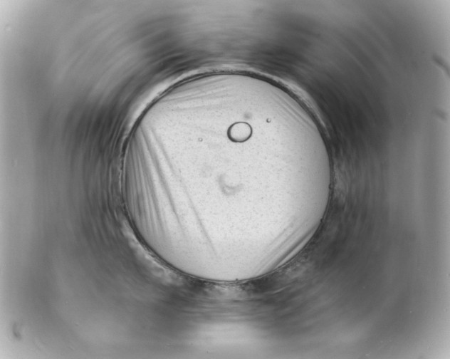 X0000102220911200808151702