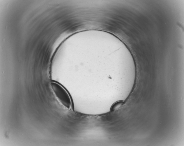 X0000102220912200808151702