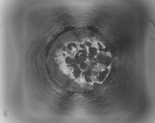 X0000102220913200808151701