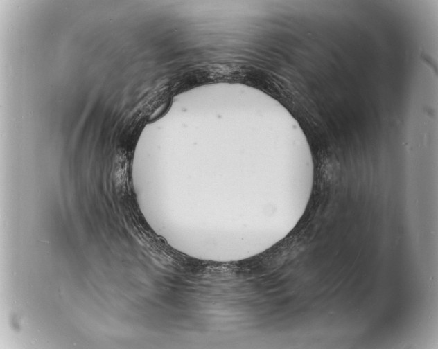 X0000102220914200808151701