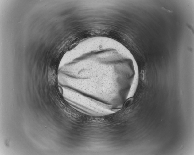 X0000102220915200808151701