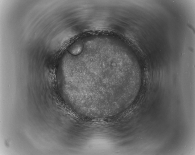 X0000102220918200808151702