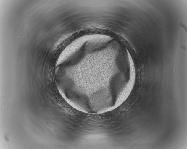 X0000102220919200808151702