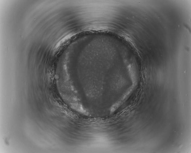 X0000102220920200808151702